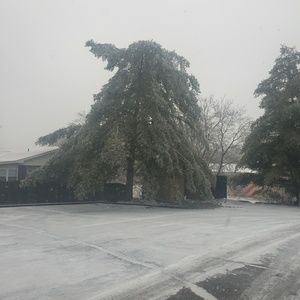 Meet your Posher, Joyce